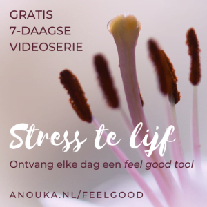 Stress te lijf