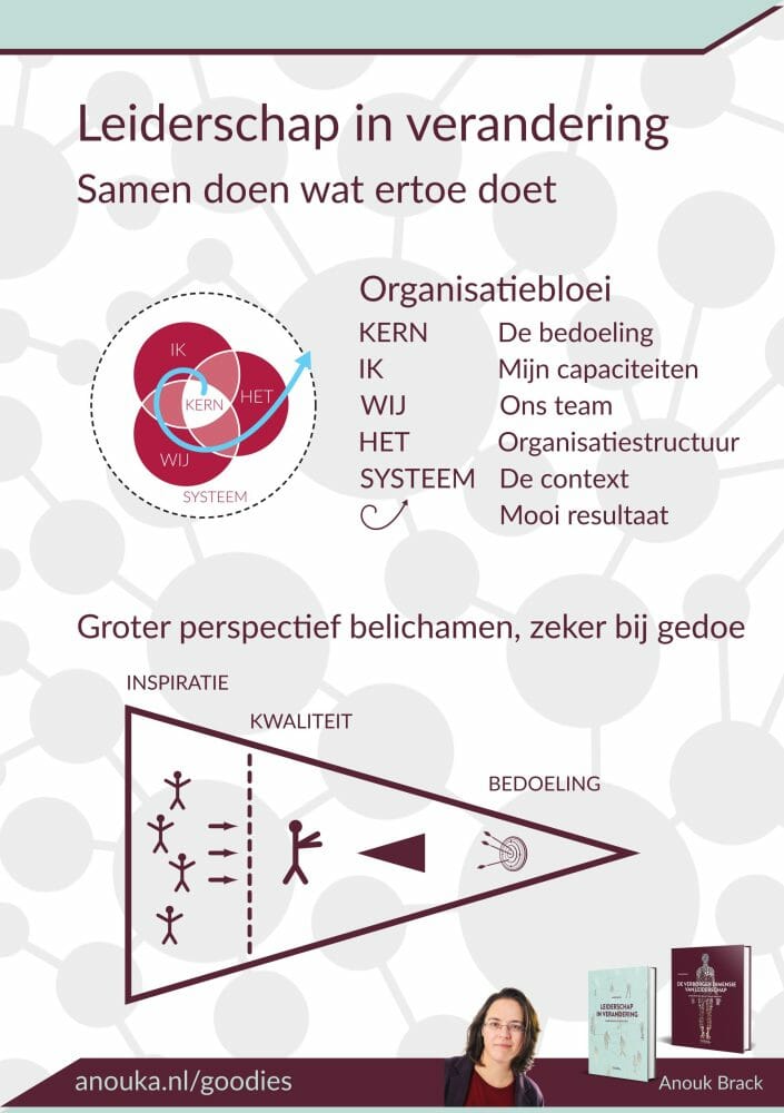 202007 Managementboek veranderdynamiek flyer p1