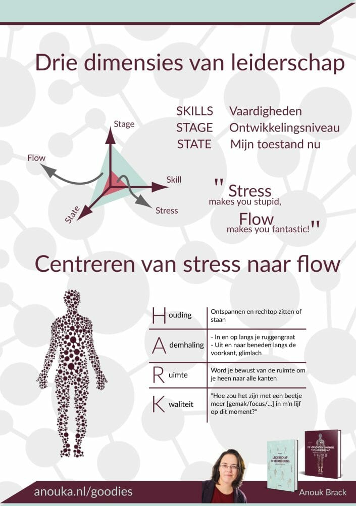 202007 Managementboek veranderdynamiek flyer p2